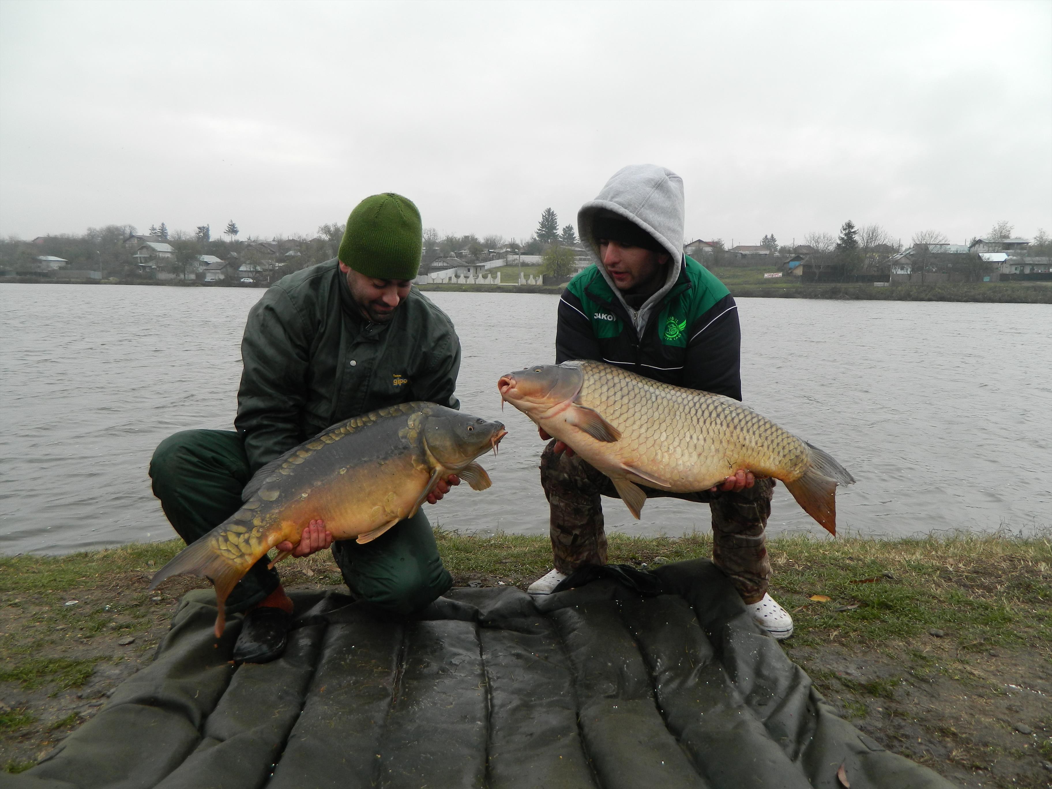 Moara Vlasiei 2  - DSCN1042.JPG